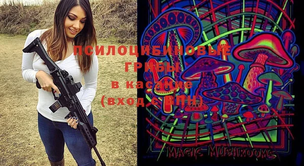 mix Вяземский